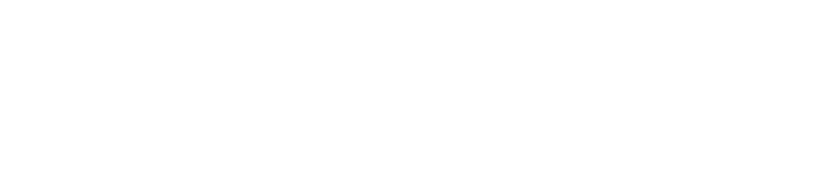 Obolo insecticide | Rotam India
